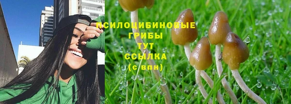 ECSTASY Алексин