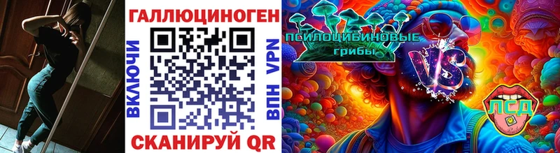 мориарти официальный сайт  Мураши  Псилоцибиновые грибы MAGIC MUSHROOMS 